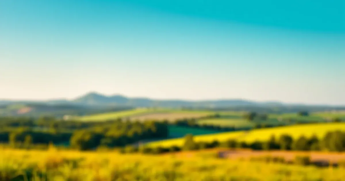 ETF à effet de levier : les utiliser sans te cramer